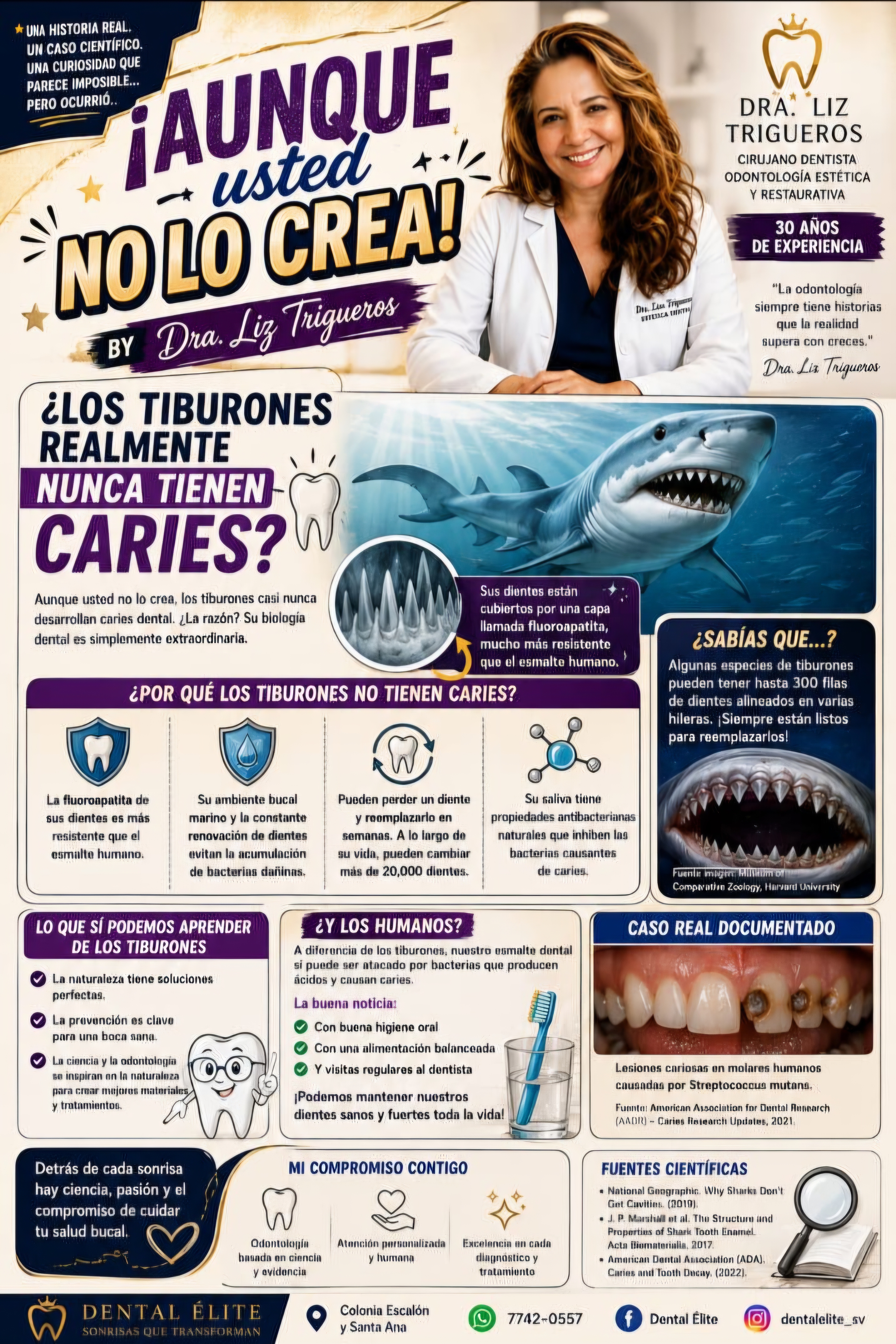 Tiburones e higiene dental