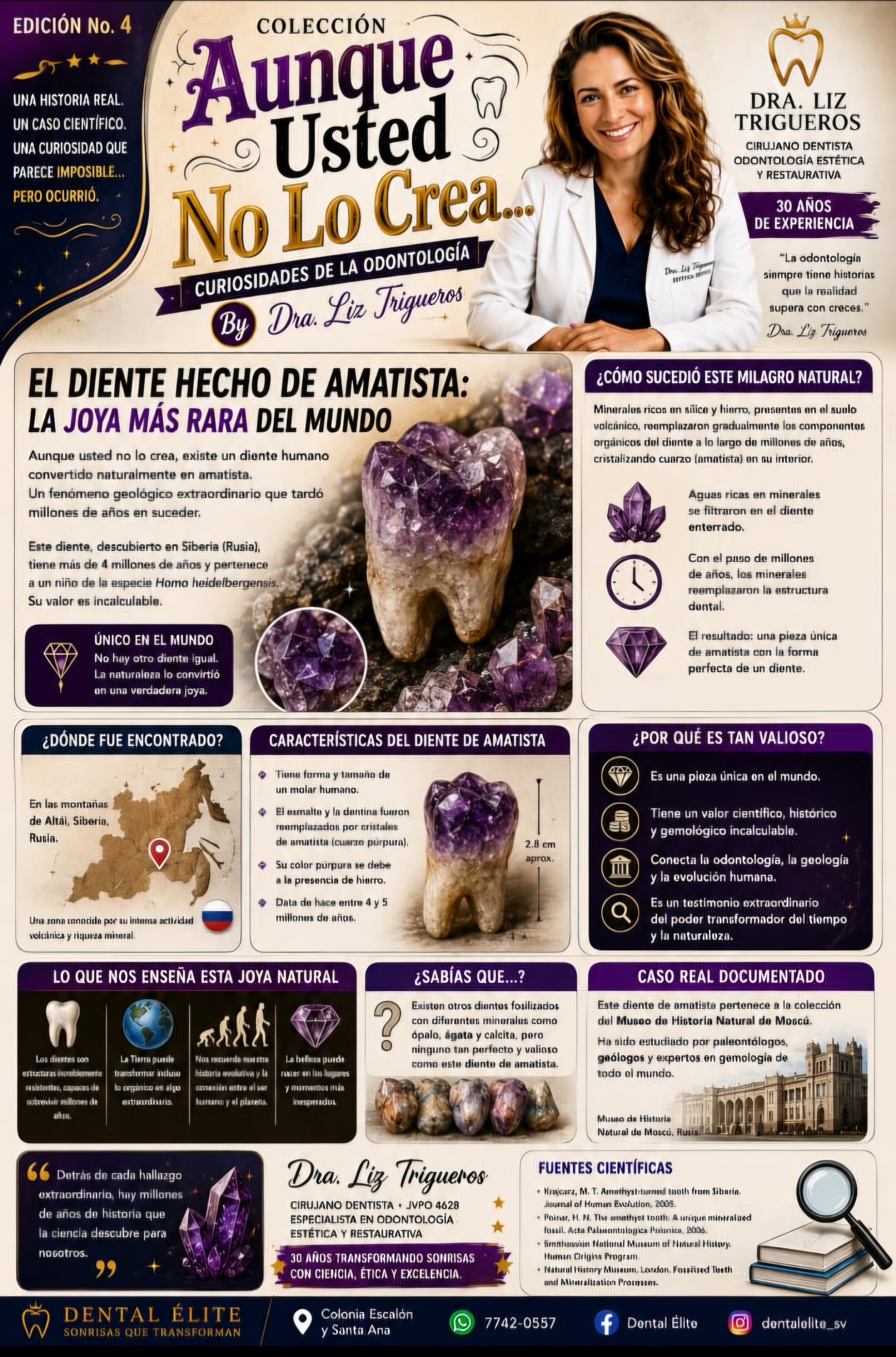 Diente de Amatista